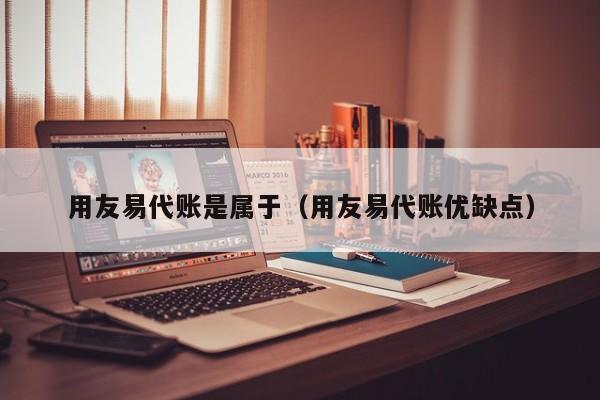 用友易代账是属于（用友易代账优缺点）