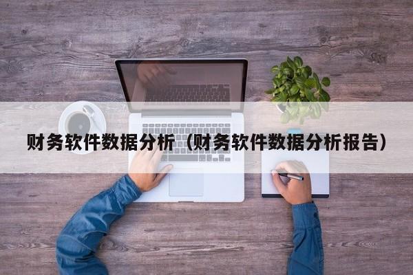 财务软件数据分析（财务软件数据分析报告）