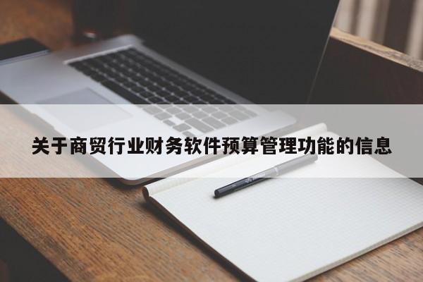 关于商贸行业财务软件预算管理功能的信息