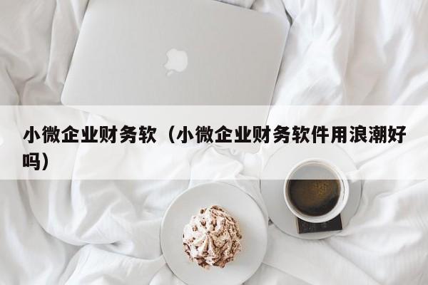 小微企业财务软（小微企业财务软件用浪潮好吗）