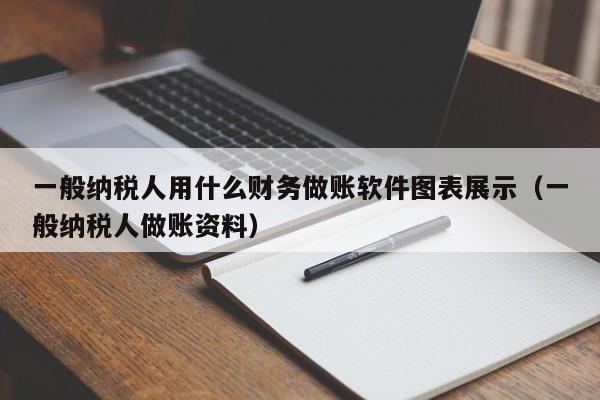 一般纳税人用什么财务做账软件图表展示（一般纳税人做账资料）