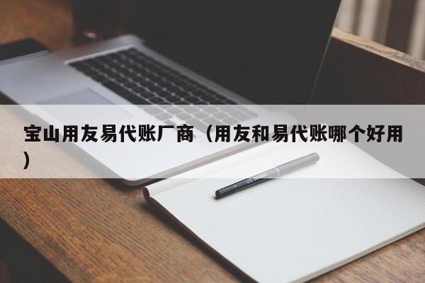 宝山用友易代账厂商（用友和易代账哪个好用）