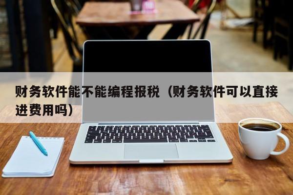 财务软件能不能编程报税（财务软件可以直接进费用吗）