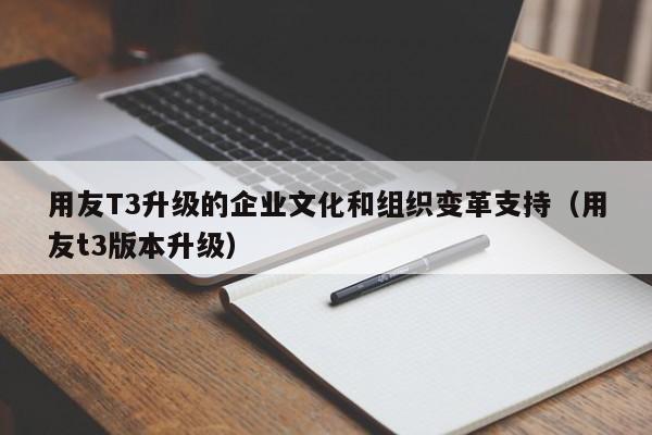 用友T3升级的企业文化和组织变革支持（用友t3版本升级）