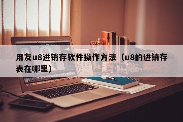 用友u8进销存软件操作方法（u8的进销存表在哪里）