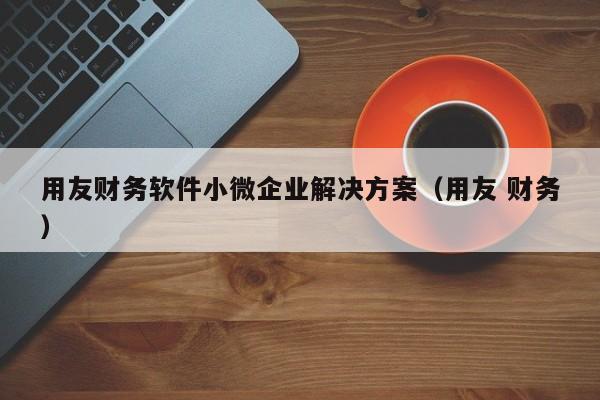 用友财务软件小微企业解决方案（用友 财务）