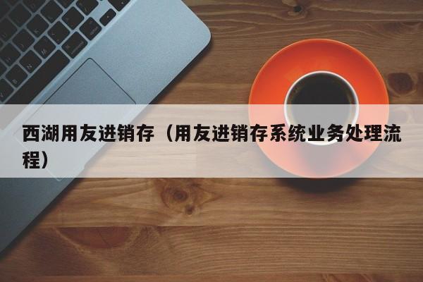 西湖用友进销存（用友进销存系统业务处理流程）