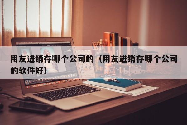 用友进销存哪个公司的（用友进销存哪个公司的软件好）