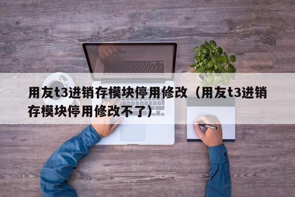 用友t3进销存模块停用修改（用友t3进销存模块停用修改不了）