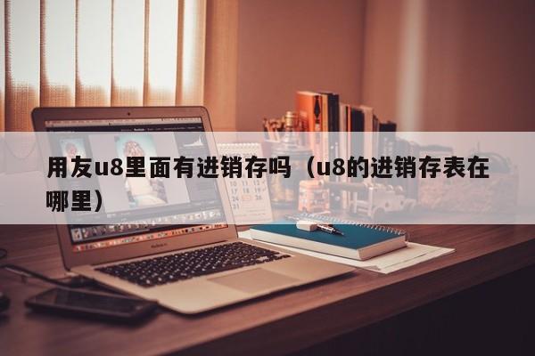 用友u8里面有进销存吗（u8的进销存表在哪里）