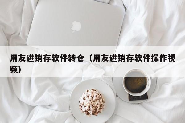 用友进销存软件转仓（用友进销存软件操作视频）