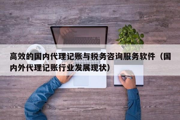 高效的国内代理记账与税务咨询服务软件（国内外代理记账行业发展现状）