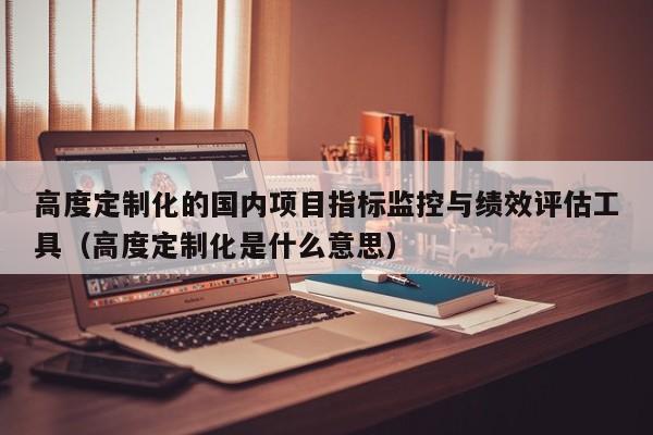 高度定制化的国内项目指标监控与绩效评估工具（高度定制化是什么意思）