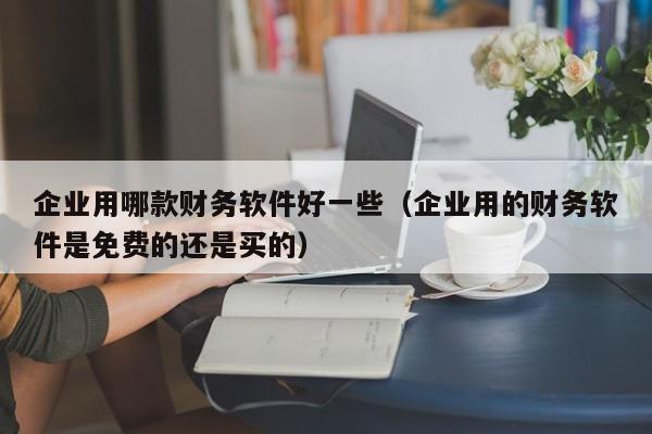 企业用哪款财务软件好一些（企业用的财务软件是免费的还是买的）