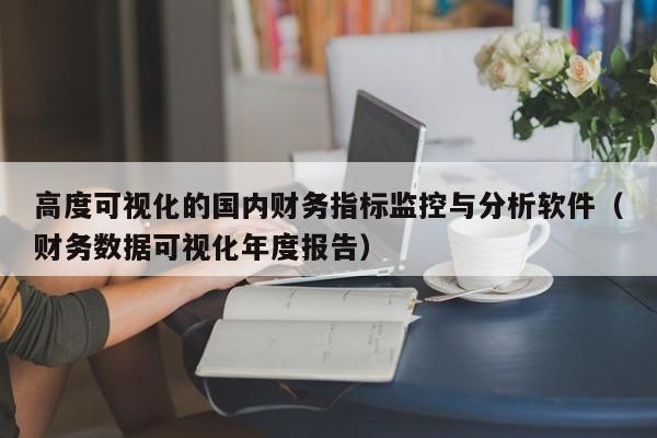 高度可视化的国内财务指标监控与分析软件（财务数据可视化年度报告）