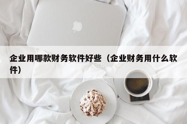 企业用哪款财务软件好些（企业财务用什么软件）