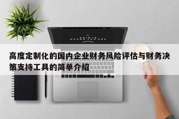 高度定制化的国内企业财务风险评估与财务决策支持工具的简单介绍