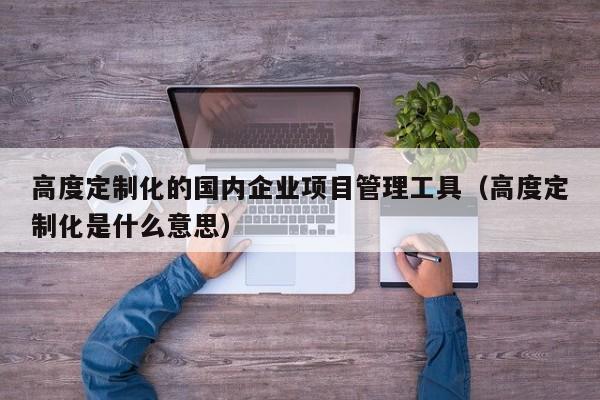 高度定制化的国内企业项目管理工具（高度定制化是什么意思）