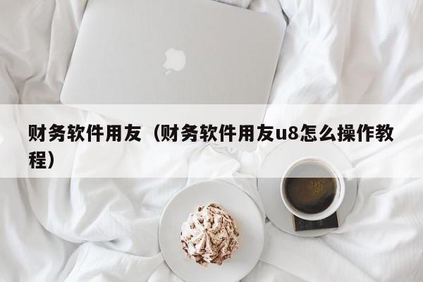 财务软件用友（财务软件用友u8怎么操作教程）