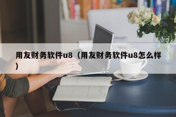 用友财务软件u8（用友财务软件u8怎么样）