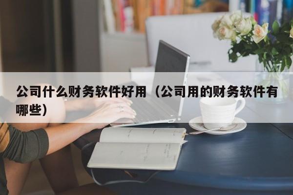 公司什么财务软件好用（公司用的财务软件有哪些）