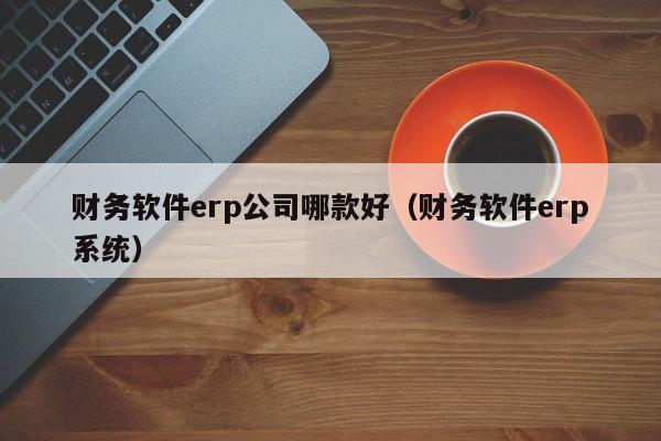 财务软件erp公司哪款好（财务软件erp系统）