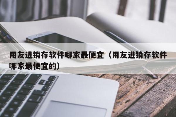 用友进销存软件哪家最便宜（用友进销存软件哪家最便宜的）