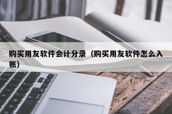 购买用友软件会计分录（购买用友软件怎么入账）