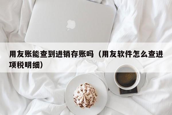 用友账能查到进销存账吗（用友软件怎么查进项税明细）