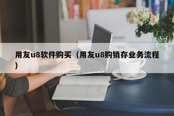 用友u8软件购买（用友u8购销存业务流程）