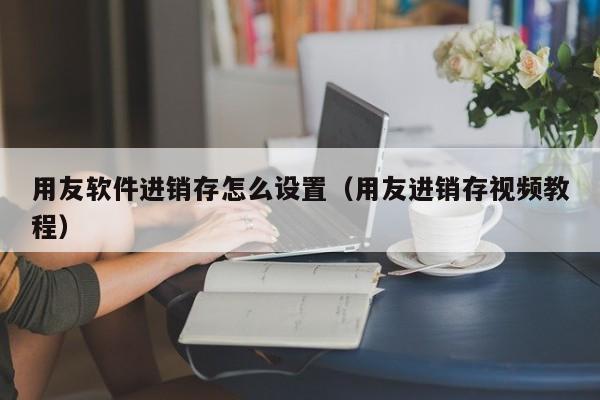 用友软件进销存怎么设置（用友进销存视频教程）