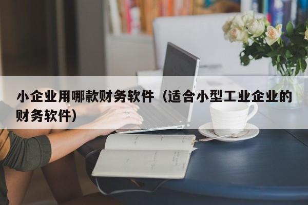 小企业用哪款财务软件（适合小型工业企业的财务软件）