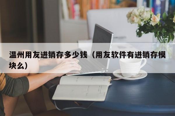 温州用友进销存多少钱（用友软件有进销存模块么）