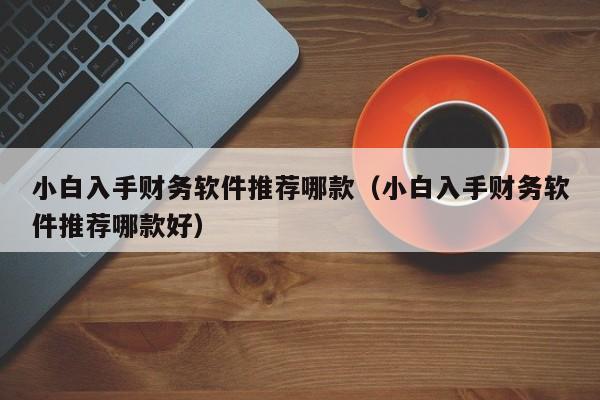 小白入手财务软件推荐哪款（小白入手财务软件推荐哪款好）