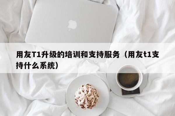 用友T1升级的培训和支持服务（用友t1支持什么系统）