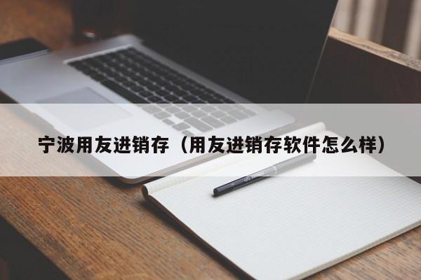 宁波用友进销存（用友进销存软件怎么样）