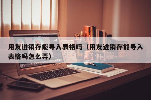 用友进销存能导入表格吗（用友进销存能导入表格吗怎么弄）