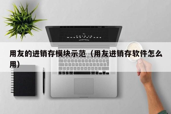 用友的进销存模块示范（用友进销存软件怎么用）