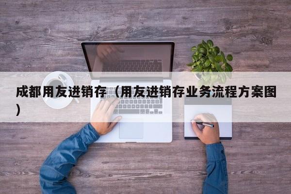 成都用友进销存（用友进销存业务流程方案图）