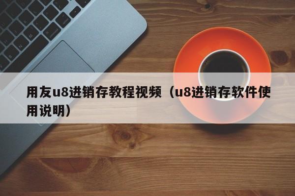 用友u8进销存教程视频（u8进销存软件使用说明）