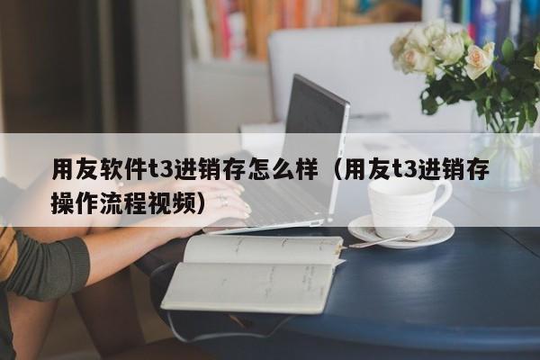 用友软件t3进销存怎么样（用友t3进销存操作流程视频）