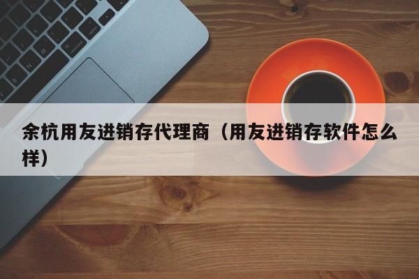 余杭用友进销存代理商（用友进销存软件怎么样）