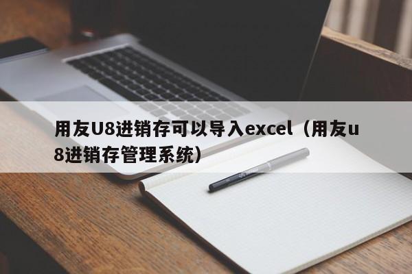 用友U8进销存可以导入excel（用友u8进销存管理系统）