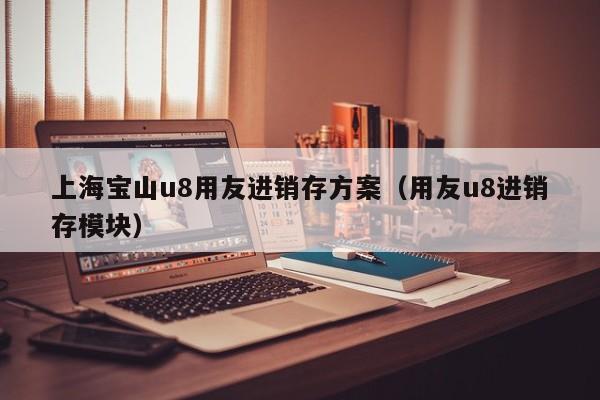 上海宝山u8用友进销存方案（用友u8进销存模块）