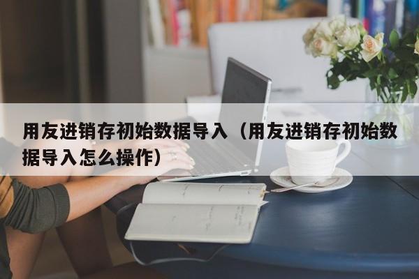 用友进销存初始数据导入（用友进销存初始数据导入怎么操作）