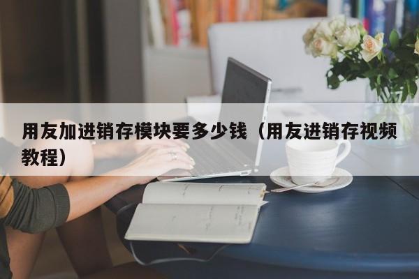 用友加进销存模块要多少钱（用友进销存视频教程）