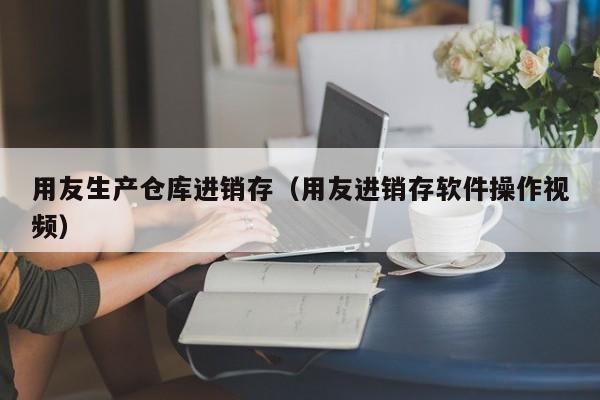 用友生产仓库进销存（用友进销存软件操作视频）