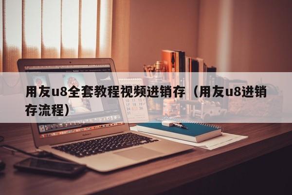 用友u8全套教程视频进销存（用友u8进销存流程）