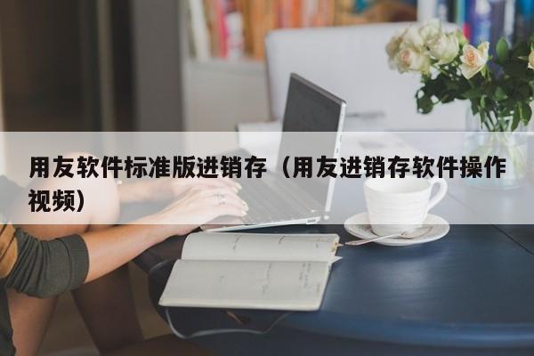 用友软件标准版进销存（用友进销存软件操作视频）