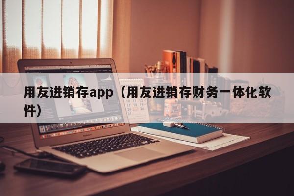 用友进销存app（用友进销存财务一体化软件）